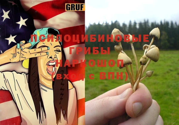 прущая мука Елабуга