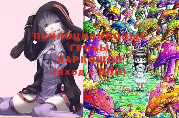 мяу мяу мука Ельня