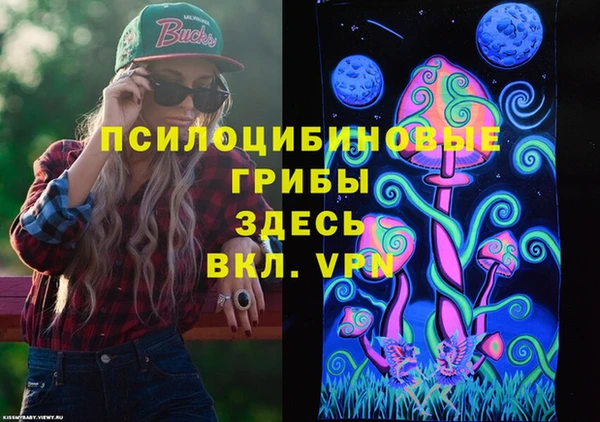 прущая мука Елабуга